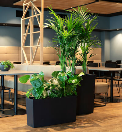 Urbi potte avlang sort 69 cm Urbi potte avlang sort 69 cm